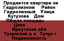 Продается квартира на Гидролизном. › Район ­ Гидролизный › Улица ­ Кутузова › Дом ­ 3 › Общая площадь ­ 42 › Цена ­ 1 100 000 - Иркутская обл., Тулунский р-н, Тулун г. Недвижимость » Квартиры продажа   . Иркутская обл.